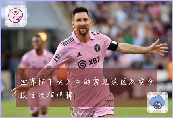 世界杯下注入口的常见误区及安全投注流程详解