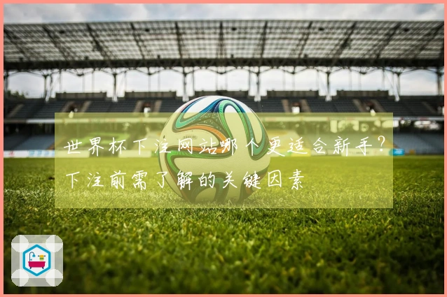 世界杯下注网站哪个更适合新手？下注前需了解的关键因素