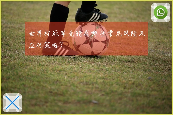 世界杯冠军竞猜有哪些常见风险及应对策略？