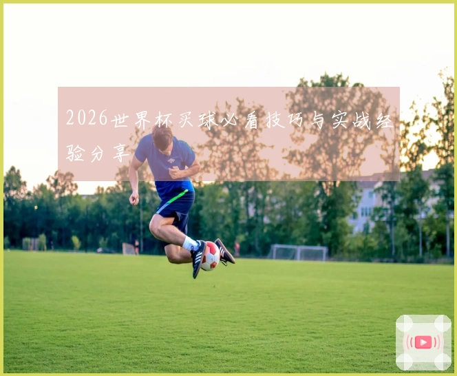 2026世界杯买球必看技巧与实战经验分享