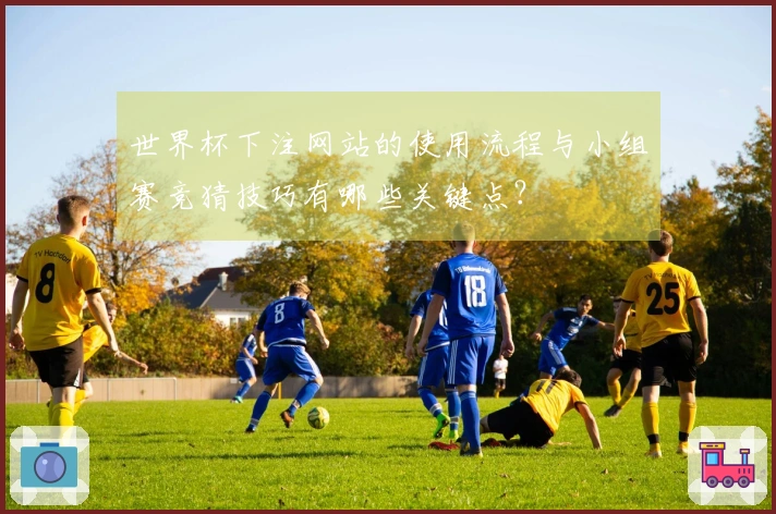 世界杯下注网站的使用流程与小组赛竞猜技巧有哪些关键点？