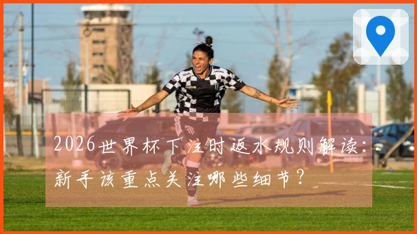 2026世界杯下注时返水规则解读：新手该重点关注哪些细节？