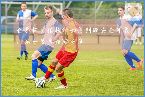 世界杯竞猜软件如何判断安全可靠，老手复盘经验分享