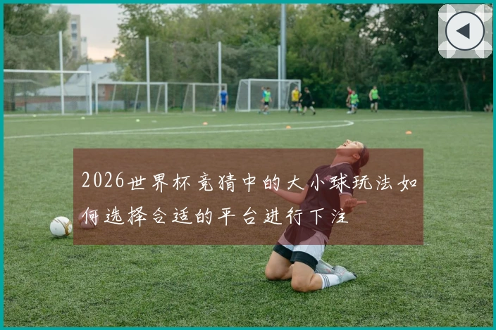 2026世界杯竞猜中的大小球玩法如何选择合适的平台进行下注