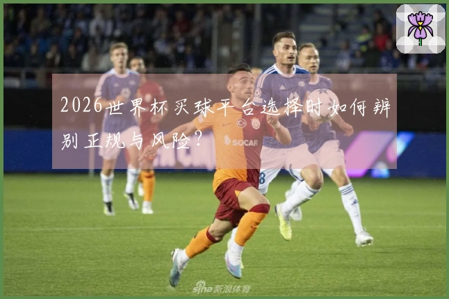 2026世界杯买球平台选择时如何辨别正规与风险？