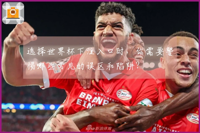 选择世界杯下注入口时，你需要警惕哪些常见的误区和陷阱？