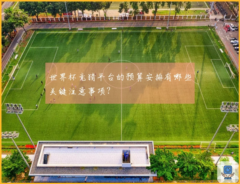 世界杯竞猜平台的预算安排有哪些关键注意事项？