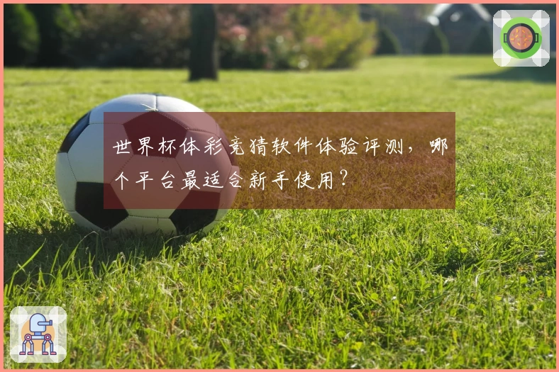 世界杯体彩竞猜软件体验评测，哪个平台最适合新手使用？