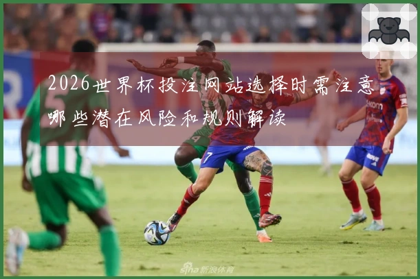 2026世界杯投注网站选择时需注意哪些潜在风险和规则解读