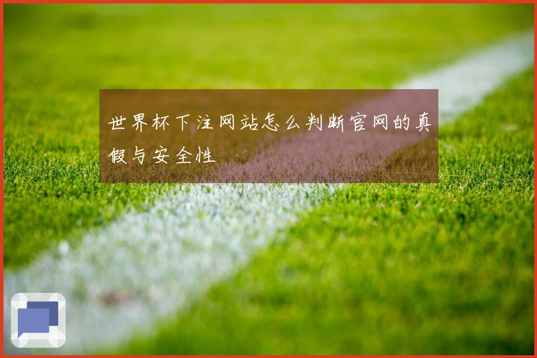 世界杯下注网站怎么判断官网的真假与安全性