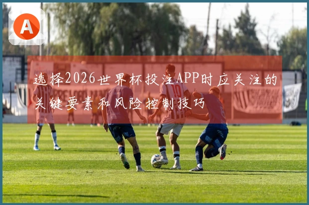 选择2026世界杯投注APP时应关注的关键要素和风险控制技巧