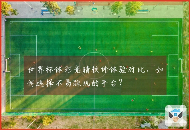 世界杯体彩竞猜软件体验对比，如何选择不易踩坑的平台？