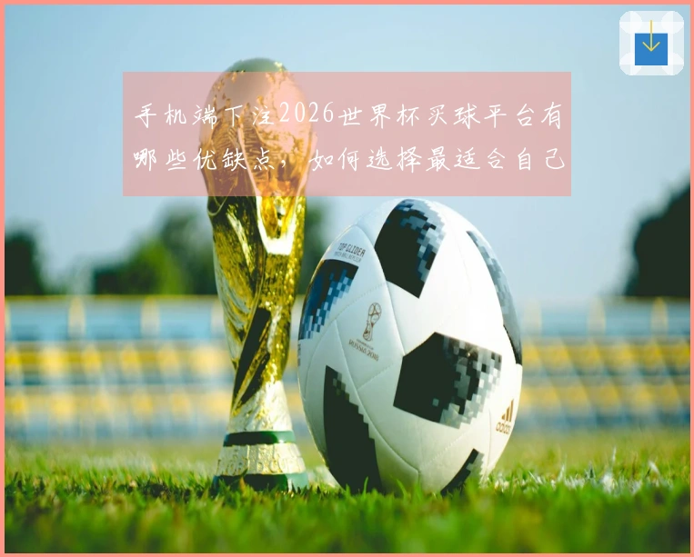 手机端下注2026世界杯买球平台有哪些优缺点，如何选择最适合自己的？