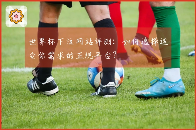 世界杯下注网站评测：如何选择适合你需求的正规平台？