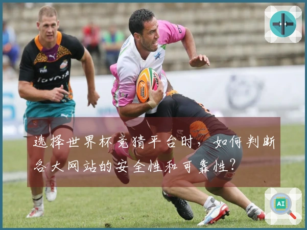 选择世界杯竞猜平台时，如何判断各大网站的安全性和可靠性？