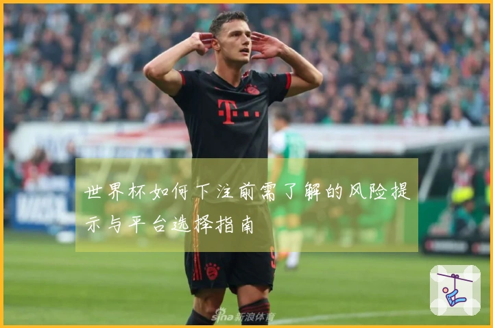 世界杯如何下注前需了解的风险提示与平台选择指南
