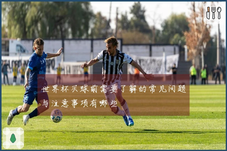 世界杯买球前需要了解的常见问题与注意事项有哪些