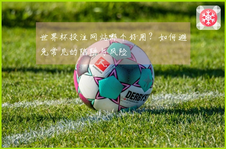 世界杯投注网站哪个好用？如何避免常见的陷阱与风险