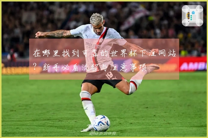 在哪里找到可靠的世界杯下注网站？新手必看流程与注意事项