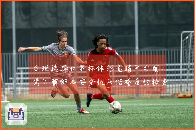 合理选择世界杯体彩竞猜平台前，需了解哪些安全性和信誉度的检查要点