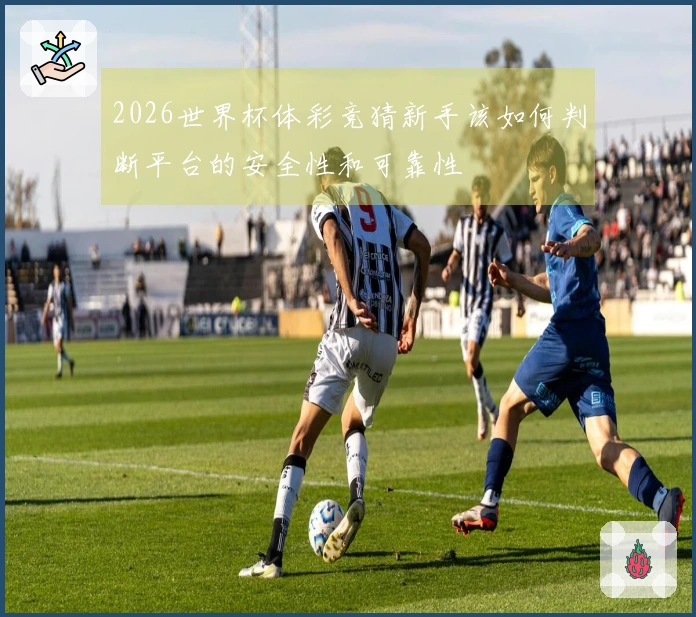 2026世界杯体彩竞猜新手该如何判断平台的安全性和可靠性