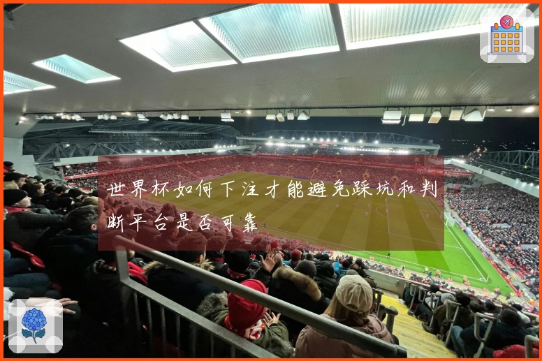世界杯如何下注才能避免踩坑和判断平台是否可靠