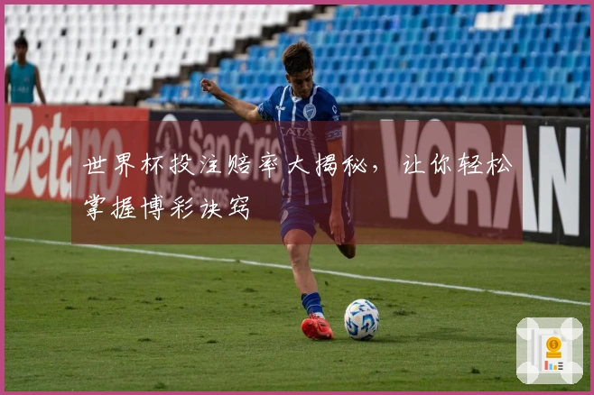 世界杯投注赔率大揭秘，让你轻松掌握博彩诀窍