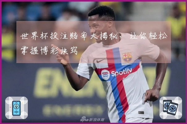 世界杯投注赔率大揭秘，让你轻松掌握博彩诀窍