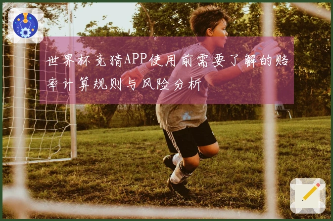 世界杯竞猜APP使用前需要了解的赔率计算规则与风险分析