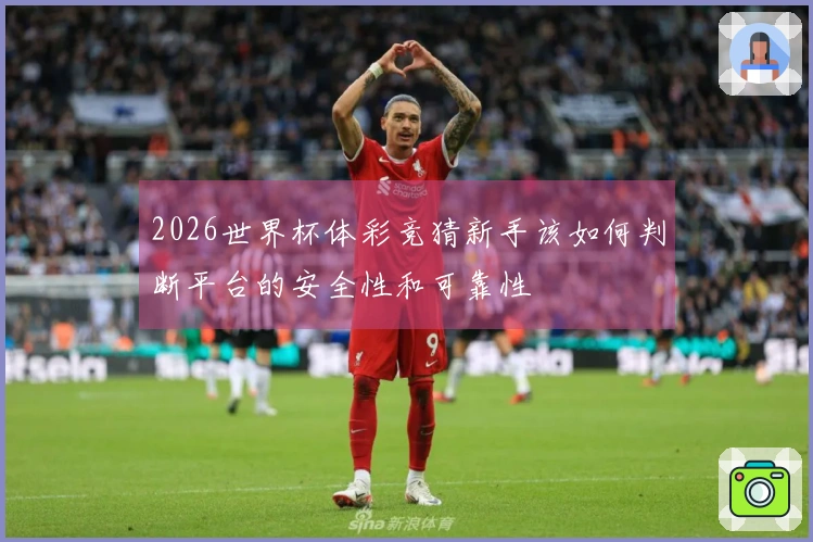 2026世界杯体彩竞猜新手该如何判断平台的安全性和可靠性