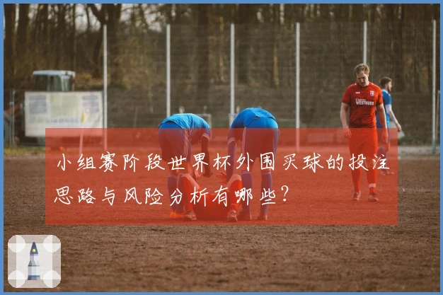 小组赛阶段世界杯外围买球的投注思路与风险分析有哪些？