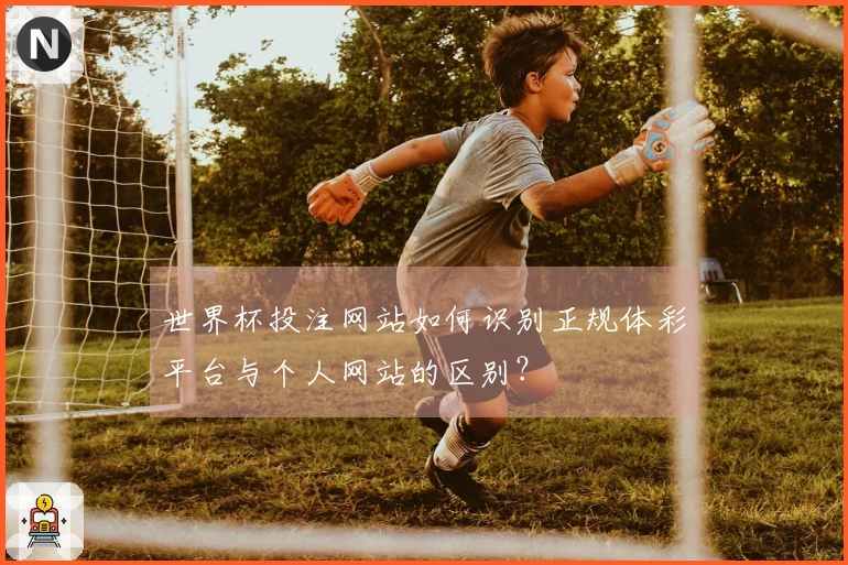 世界杯投注网站如何识别正规体彩平台与个人网站的区别？